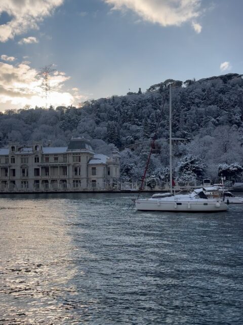 Winter moment, cold sun, clear view❄️