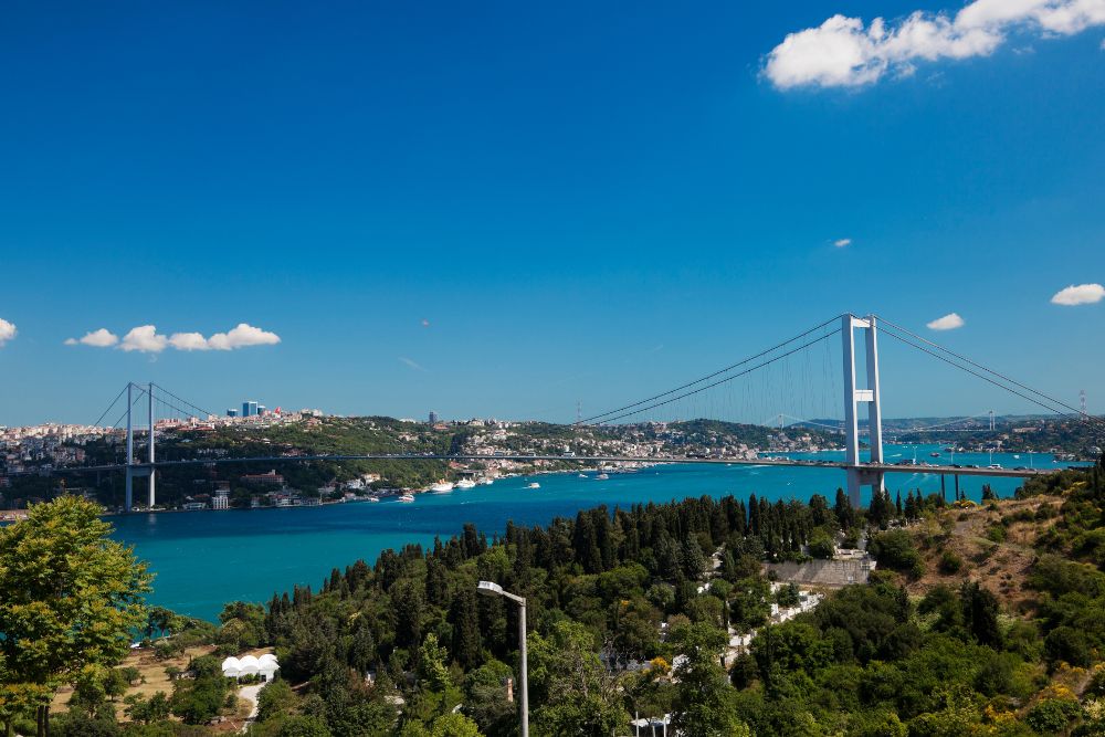 Bosphorus Bridges (23)