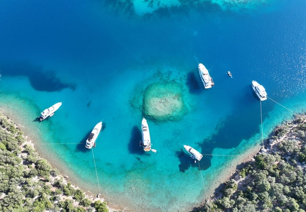 Bosphorus Tour Organisations -Yacht Cruise (1)