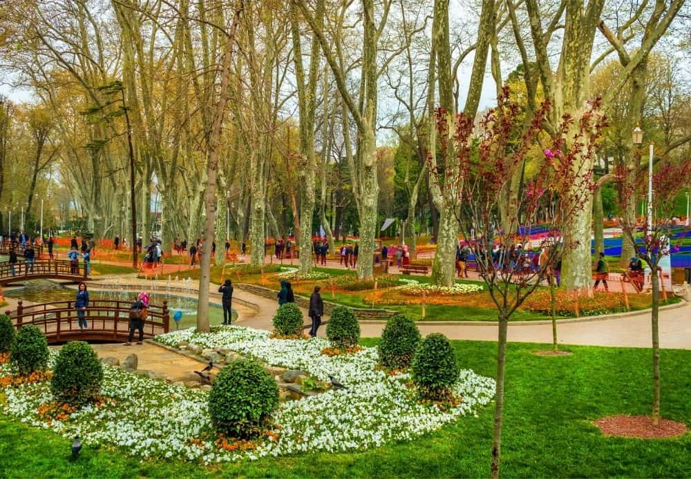 Morning or Afternoon Walking (3)