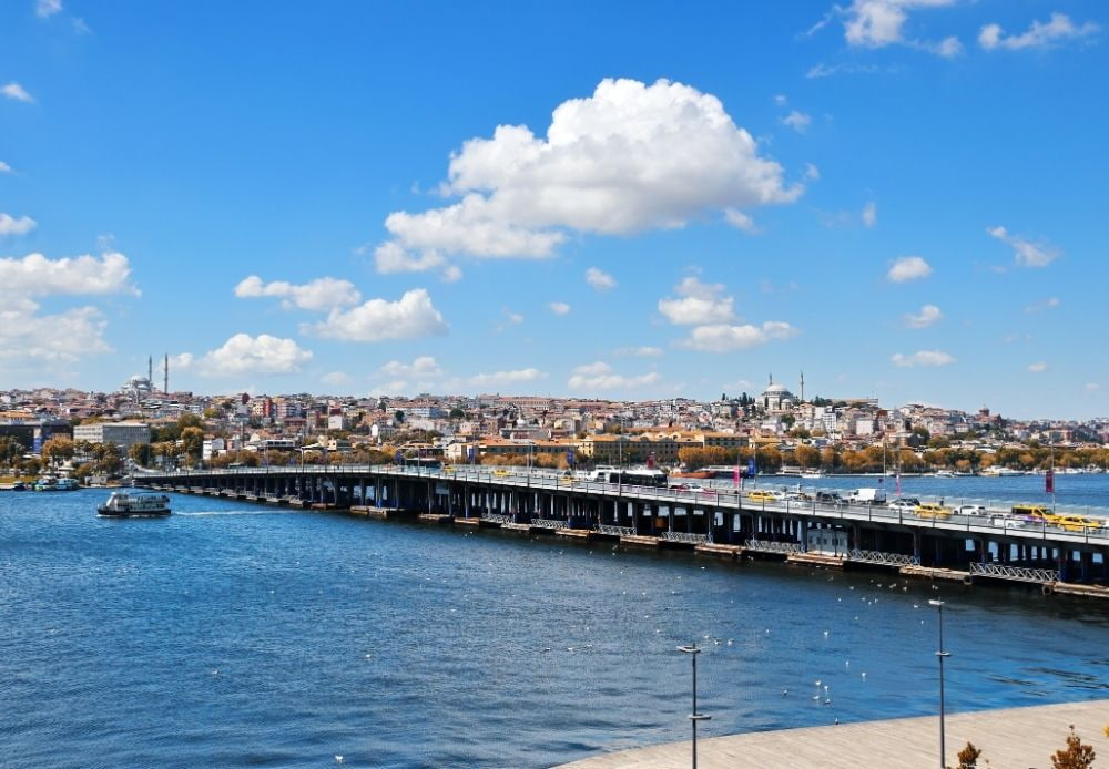 Private Bosphorus Cruise (20)