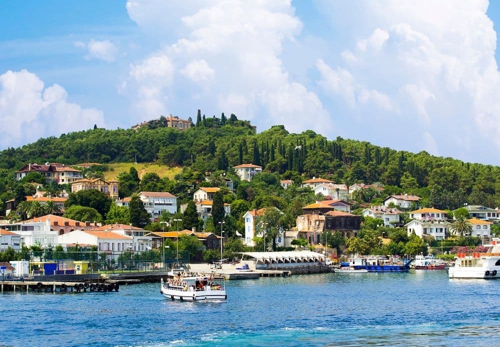 Swimming Cruise - BTO (1)