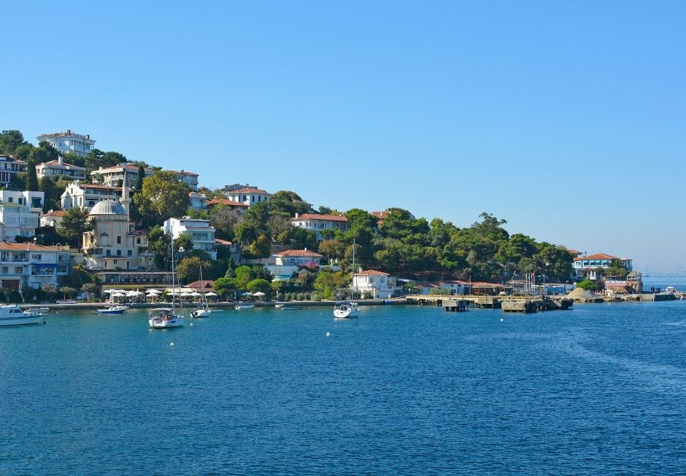 Swimming Cruise - BTO (4)