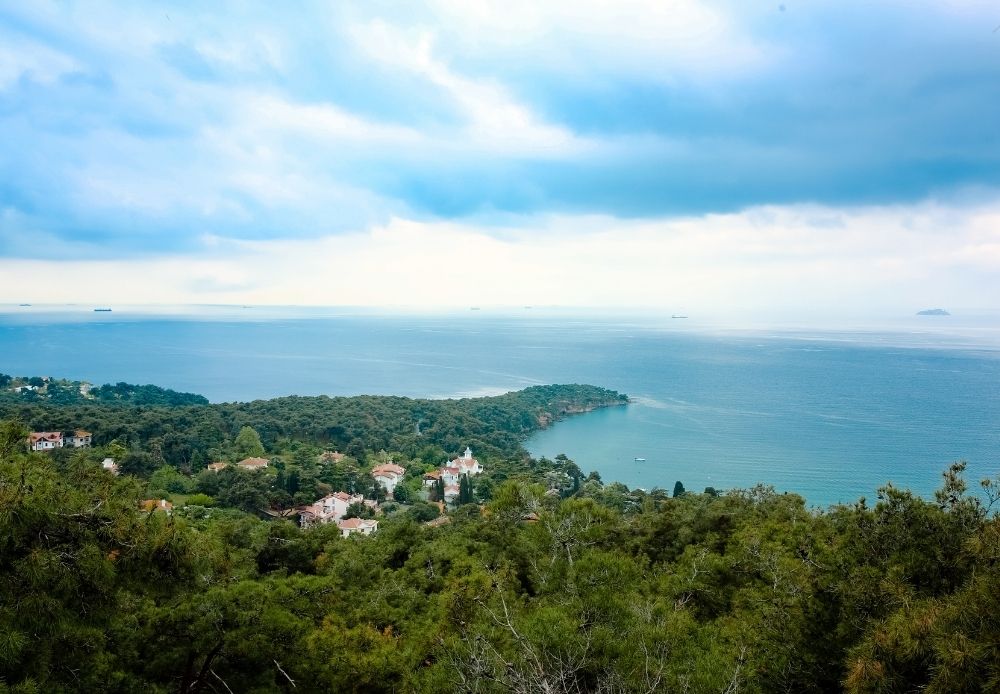 Swimming Cruise - BTO (6)